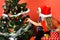 Girl and boy in xmas hat and hood decorate tree.