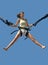 Girl bungee jumping