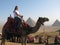 Girl on camel by Great Pyramids