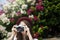 Girl Camera Photographer Focus Shooting Nature Concept