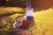 Girl in a cap and a cute red puppy of corgi sit on an old suitcase not off the road into a field and waiting for transport when