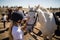 Girl caressing the white horse in the ranch