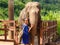 Girl caresss an elephant at sanctuary in Chiang Mai Thailand