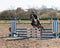 A girl caucasian horse rider riding and jumping a hurdle with her beautiful brown sport pony