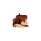 Girl character with brown eyes and brown curly hair. Female character face with headphones and a microphone. Mascot for a busy wom