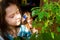 Girl child caring for a shefler`s house plant with green umbellate leaves