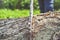 The girl child in a helmet with an electric saw saws a log