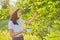 Girl child tearing berries in mug of mulberry tree, summer sunny day background