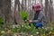 Girl child teenager in the forest find and cuts the first flowers of snowdrops