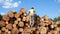 The girl climbs on a large pile of stacked wooden logs to the very top against the background of the sky with clouds.2