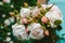 Girl collected a bouquet of roses in the garden