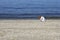 Girl Collecting Shells On Beach