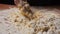 The girl cook kneads the dough from flour pours water from a glass into it