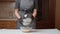 The girl cook pours flour in a sieve to sift before adding to the dough