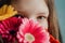 Girl covering face with colorful flowers. Gerberas of different colors and eyes of young lady close up