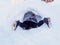 Girl crawling on her stomach in a narrow snow tunnel