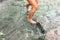 The girl crosses the river. Barefooted girl legs in the water