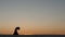 Girl is dancing belly dancing against the beautiful sunset on the beach. Silhouettes