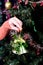 Girl decorates a Christmas tree with green bells