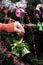 Girl decorates a Christmas tree with green bells