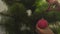 Girl decorates the Christmas tree and hang on a branch the pink ball