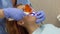 Girl at the dentist, dentist doctor shines with an ultraviolet lamp on her teeth