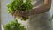 Girl dividing lettuce leaves and putting in bowl, making fresh organic salad