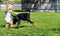 Girl and doberman running