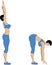 The girl does sports exercises. The girl is standing, hands up. The girl leaned over, hands down. Cartoon.