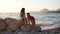 Girl and dog gaze over the sea at sunset, serene companionship