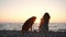 Girl and dog gaze over the sea at sunset, serene companionship