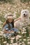 Girl dog meadow chamomile. Child girl embraces her furry friend Maremma Sheepdog in a serene chamomile field, surrounded