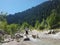 Girl and dogs Malamutes on a mountain river.