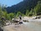 Girl and dogs Malamutes on a mountain river.