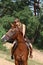 Girl in dress and brown horse portrait in forest