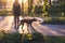 girl in a dress that walks the dog on a leash in the park. Walk with dog outdoors in the park