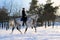 Girl on dressage horse in winter