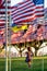 Girl dressed in patriotic colors walks amongst US American flags in Pepperdine University campus, California, at a 9/11 memorial.