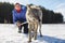 The girl is engaged in training a gray wolf in a snowy and sunny field.