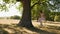 Girl enjoy summer on a rope swing