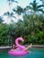 A girl enjoying on the pool in flamingo float