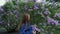 Girl examines lilac bush with lilac flowers in flowering park