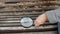 Girl examines wood bench with magnifying glass.