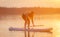 Girl exercising yoga on paddleboard in the sunset on scenic lake Velke Darko