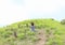 Girl exercising yoga among stone stacks on Padar Island