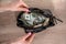 Girl extract dollars from the full-packed bags of money