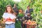 Girl farm owner posing with apples in orchard