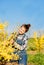 Girl farmer caring for a yellow bush and fruit tree. in denim overalls. Blue cloudless sky. Flowering bush of Forsythia