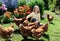 Girl feeding chickens