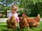 Girl feeding chickens